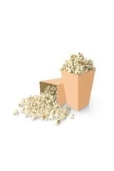 Popcorn Kutusu ( Mısır , Cips Kutusu ) 8 Adet